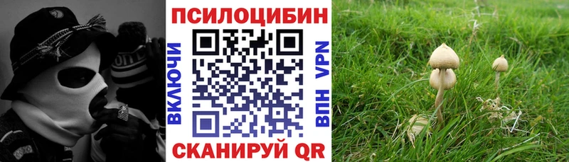 Псилоцибиновые грибы GOLDEN TEACHER  закладка  shop телеграм  Козловка 